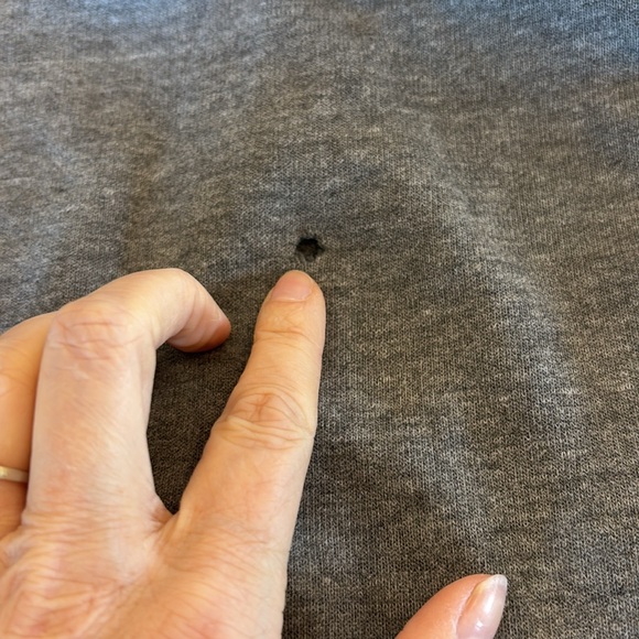 Aviator Nation Joggers - Picture 7 of 9